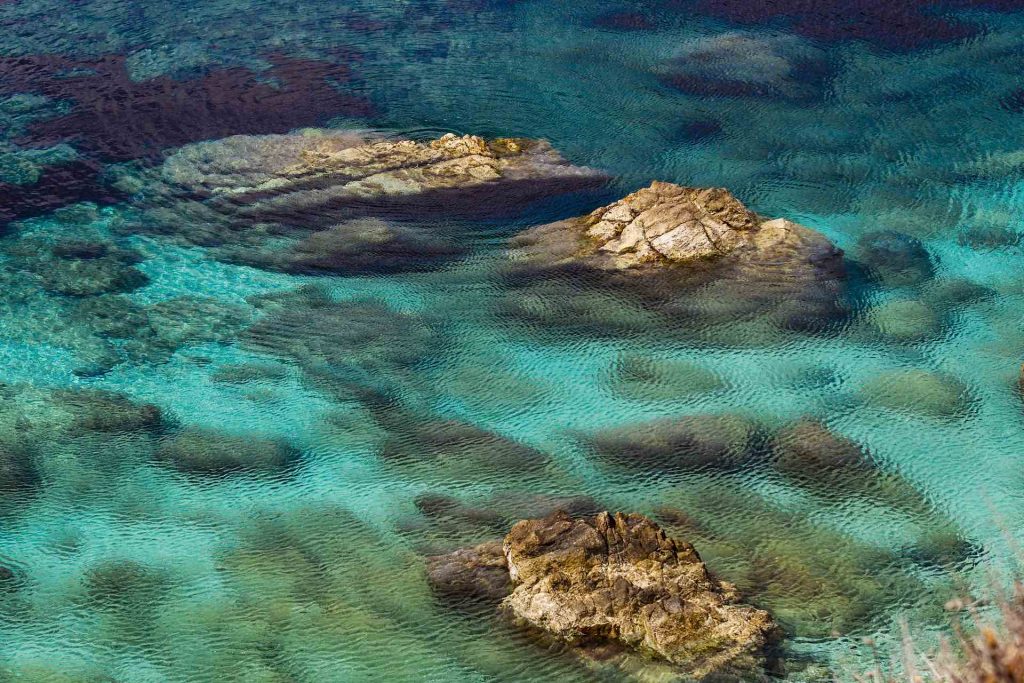 Vacanze da sogno all'isola d'Elba