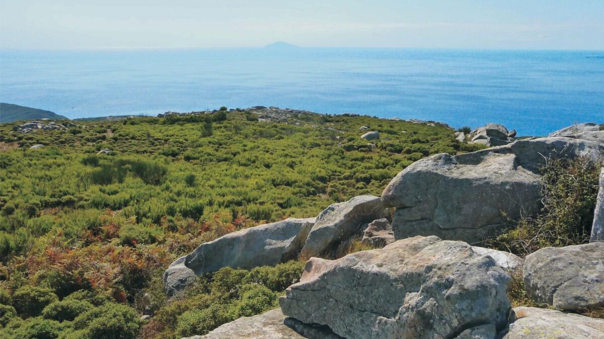 Trail Running Correre nei sentieri dell'isola d'Elba