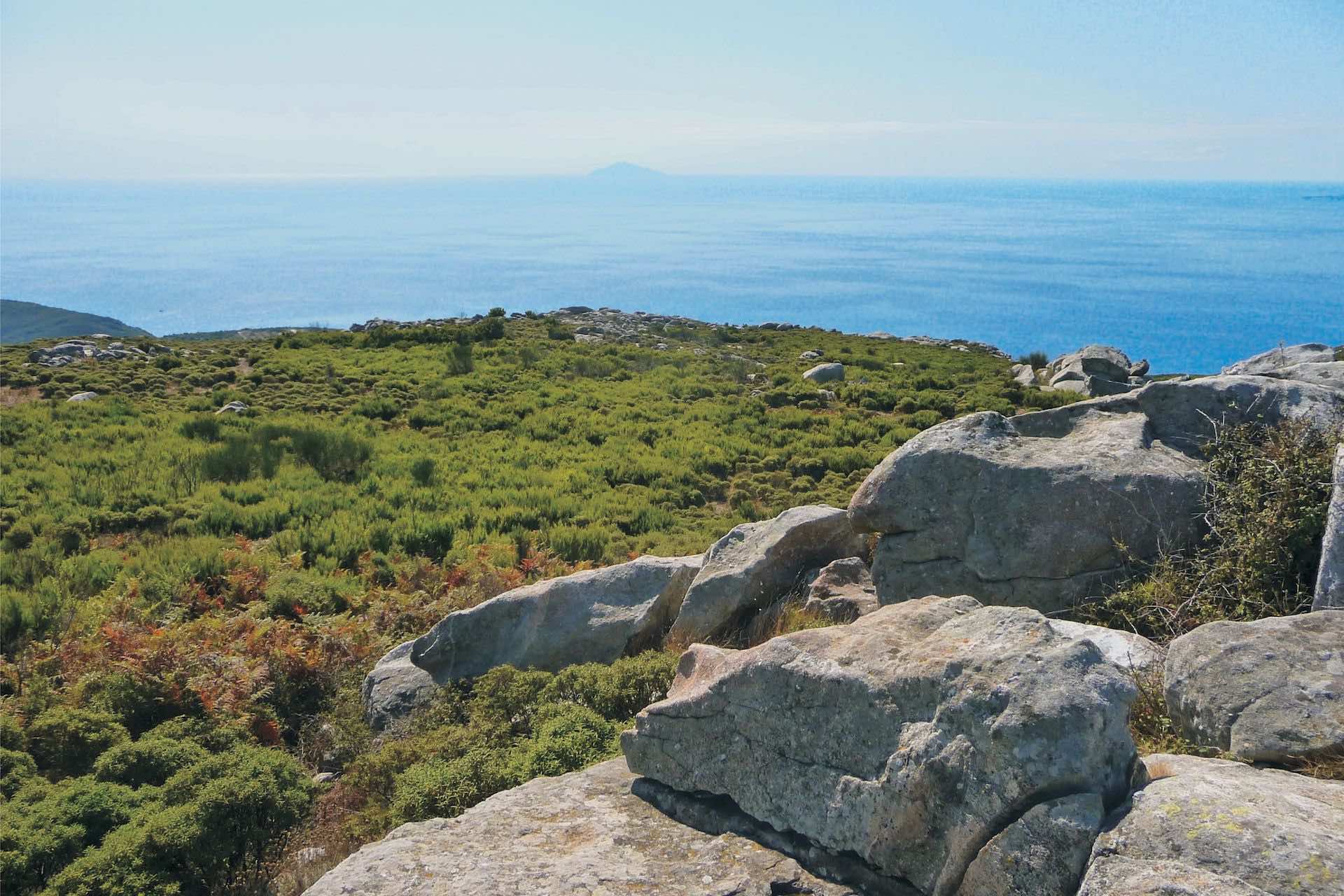 Trail Running Correre nei sentieri dell'isola d'Elba