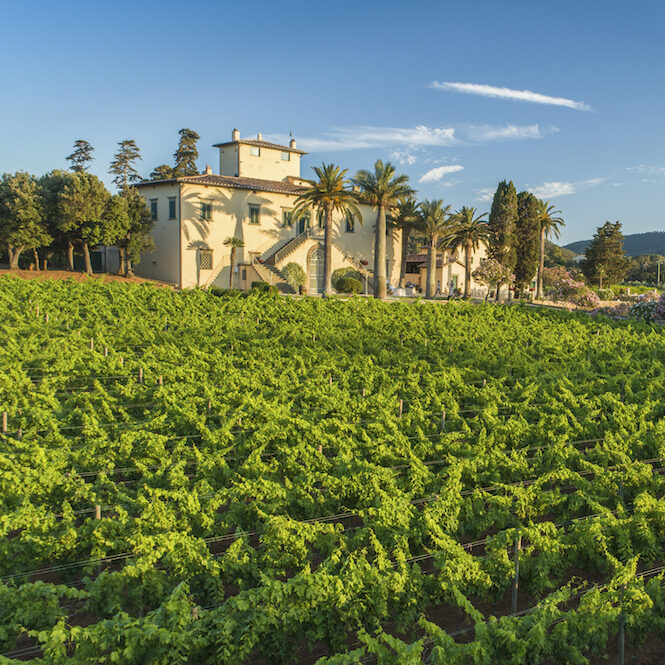 Dove organizzare eventi nelle location da sogno all'isola d'Elba, dove organizzare matrimoni all'isola d'Elba