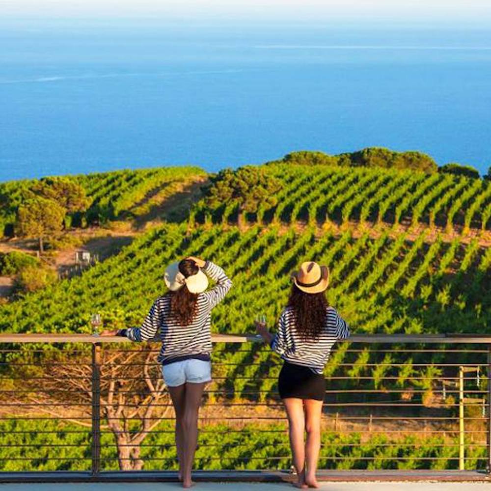Dove trovare le migliori aziende vitivinicole all'isola d'Elba