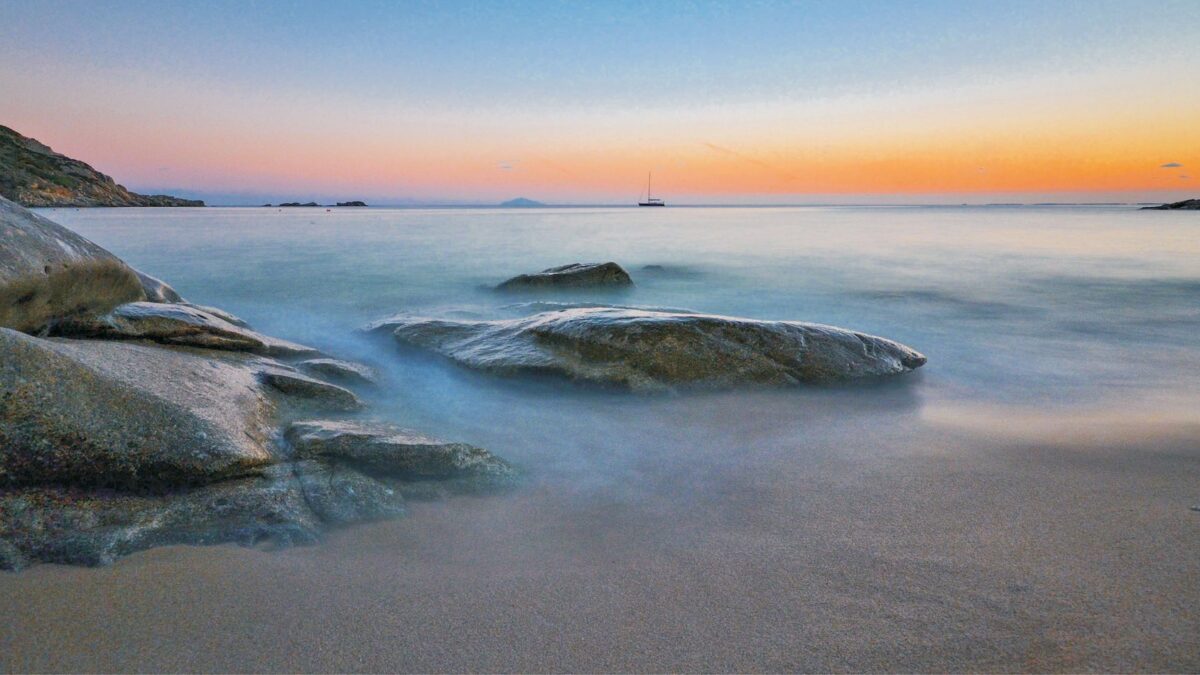 Spiagge dell'isola d'Elba dove Legambiente fa volontariato per la scoperta di nidi di tartarughe