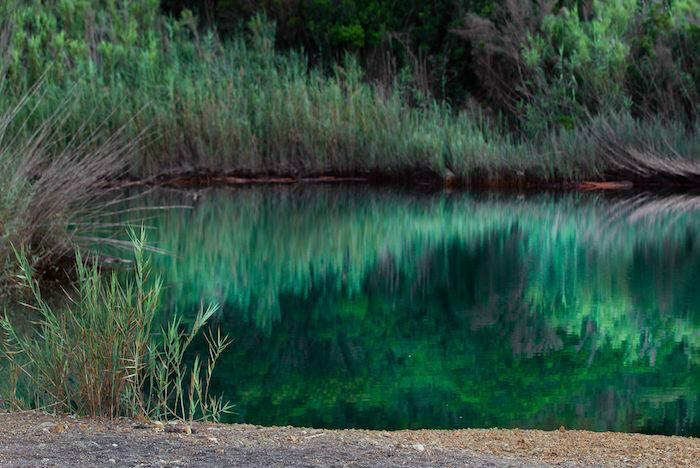 Dove andare in vacanza all'isola d'Elba