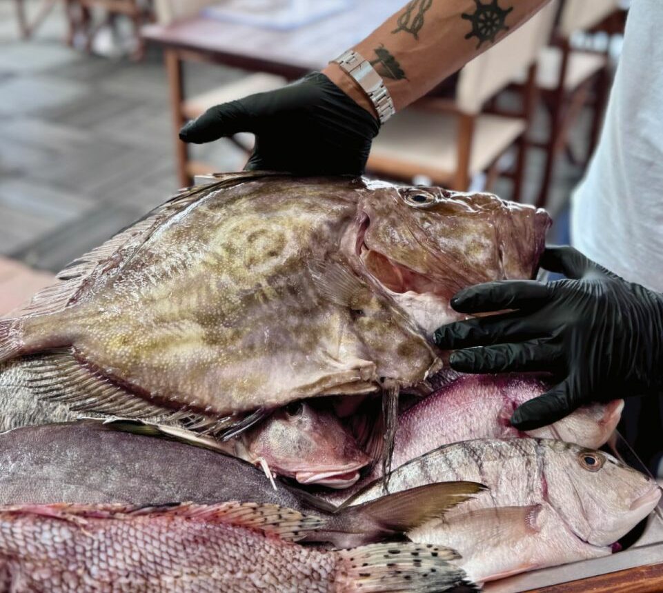 I migliori ristoranti di pesce all'isola d'Elba