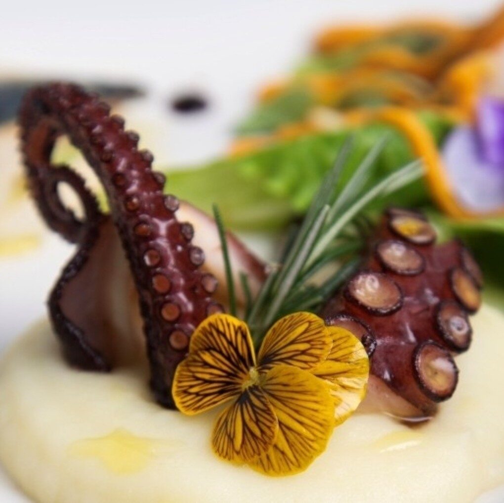 Dove mangiare il pesce fresco a Portoferraio, Isola d'Elba