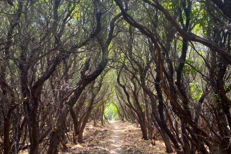 Le migliori guide per escursioni in mezzo alla natura all'isola d'Elba