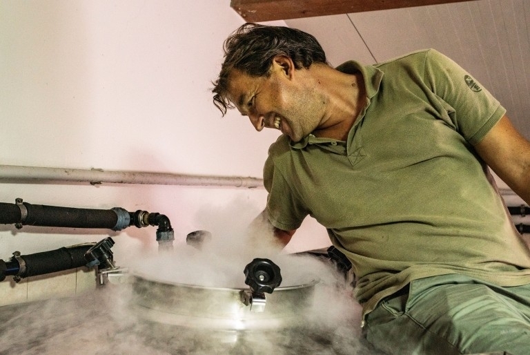 Le migliori aziende vitivinicole all'Isola d'Elba