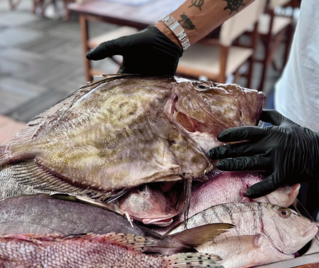 Dove mangiare il pesce all'isola d'Elba
