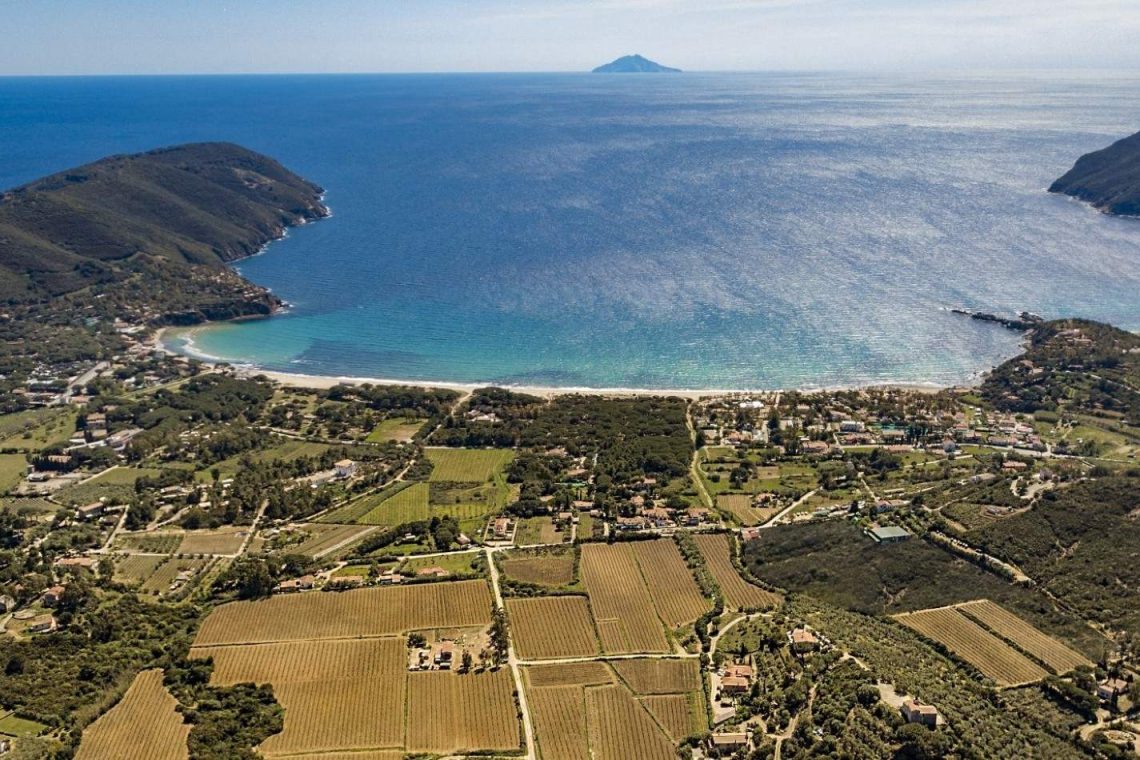 Azienda vitivinicola La Chiesina di Lacona, Capoliveri, Isola d'Elba